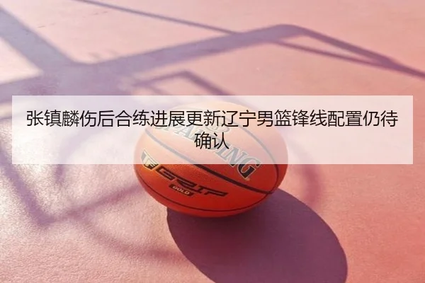 张镇麟伤后合练进展更新辽宁男篮锋线配置仍待确认