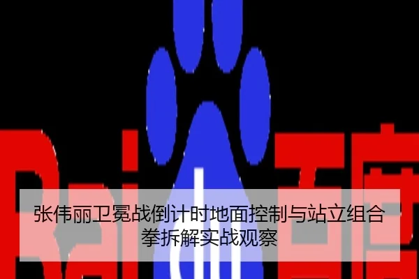 张伟丽卫冕战倒计时地面控制与站立组合拳拆解实战观察